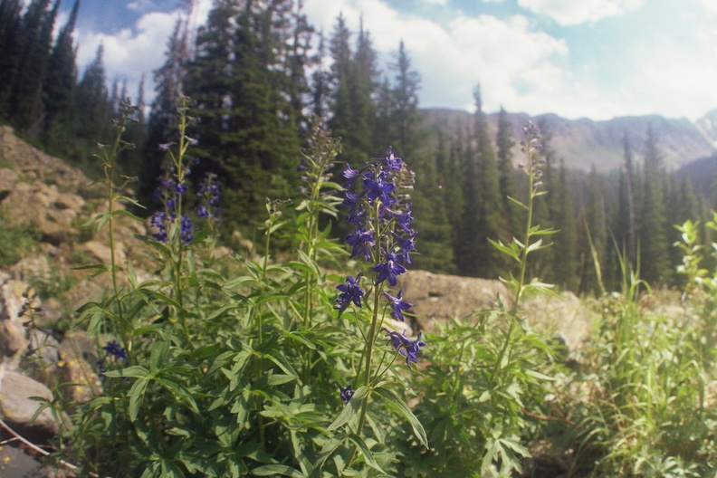 Baker Gulch Trail 8.jpg